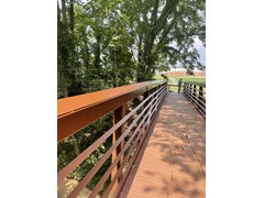 IMG_0204
